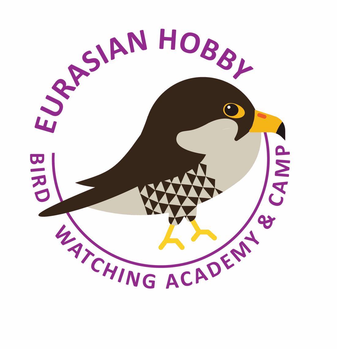 Eurasian Hobby
