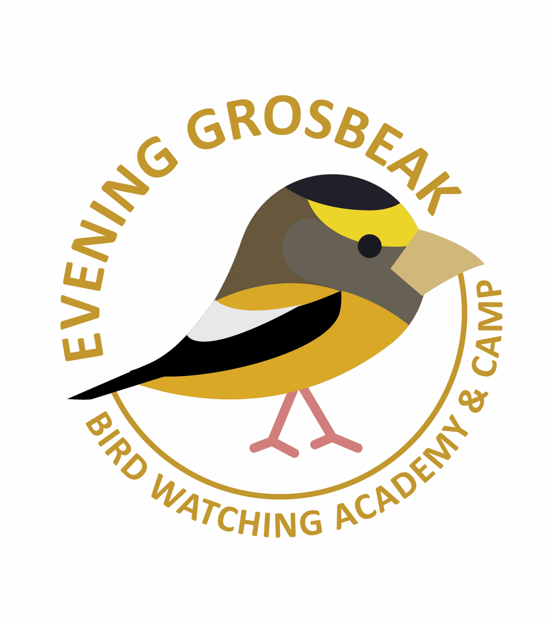 Evening Grosbeak