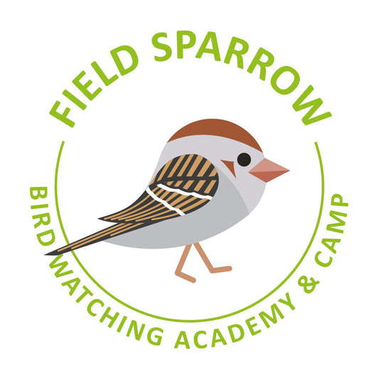 Field Sparrow