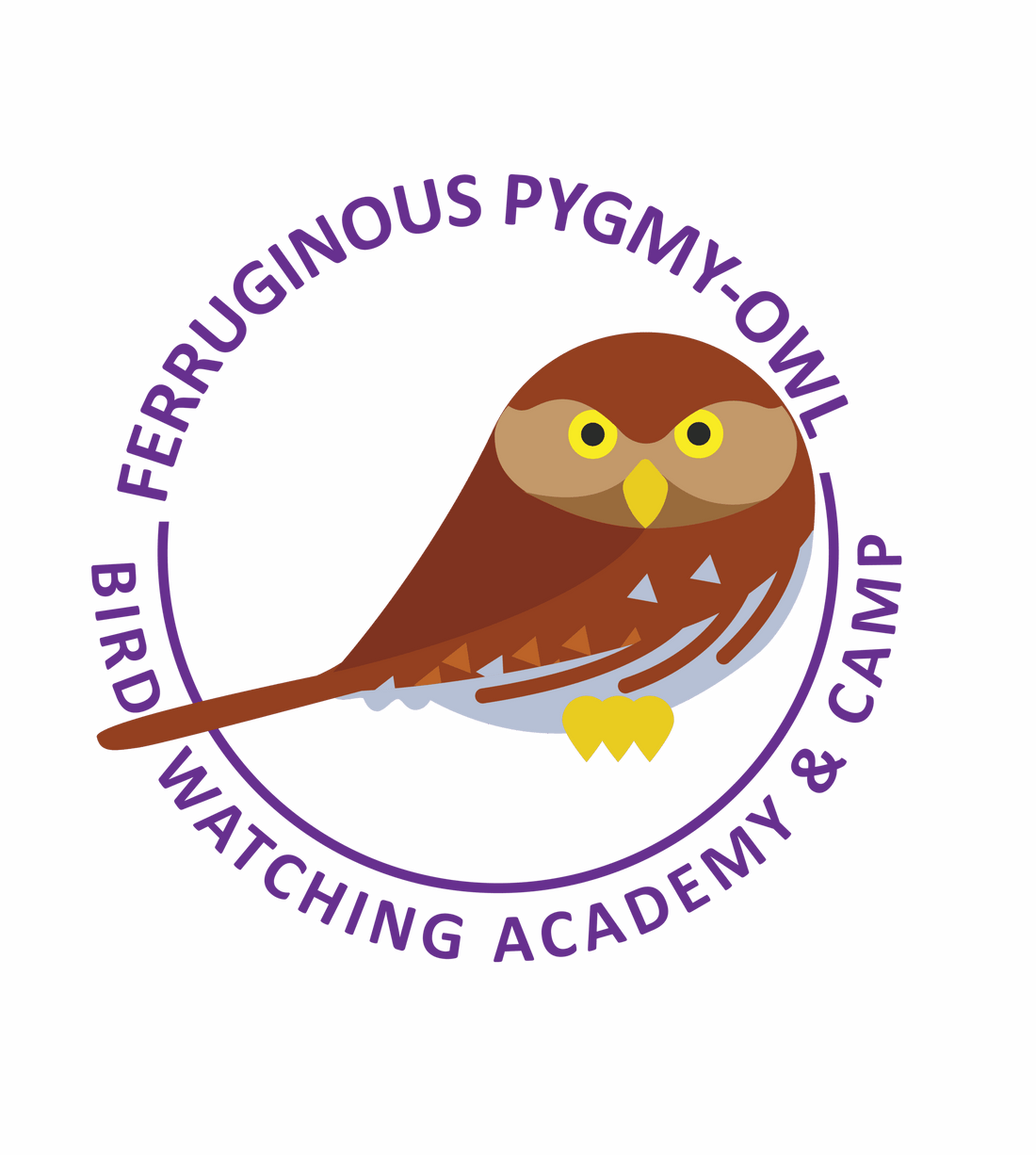 Ferruginous Pygmy-Owl