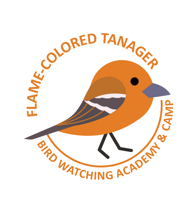 Flame-colored Tanager