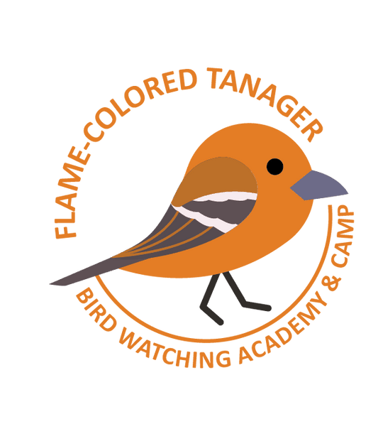 Flame-colored Tanager