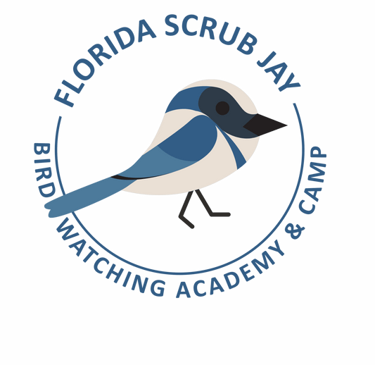 Florida Scrub Jay