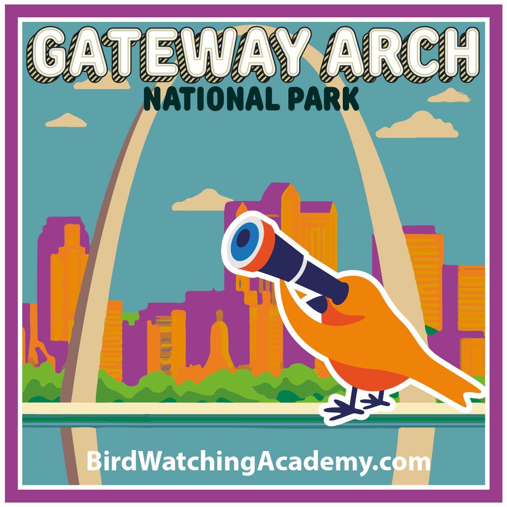Bird Watching at Gateway Arch National Park