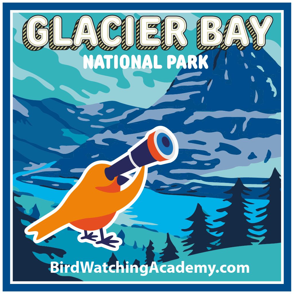 Bird Watching at Glacier Bay National Park
