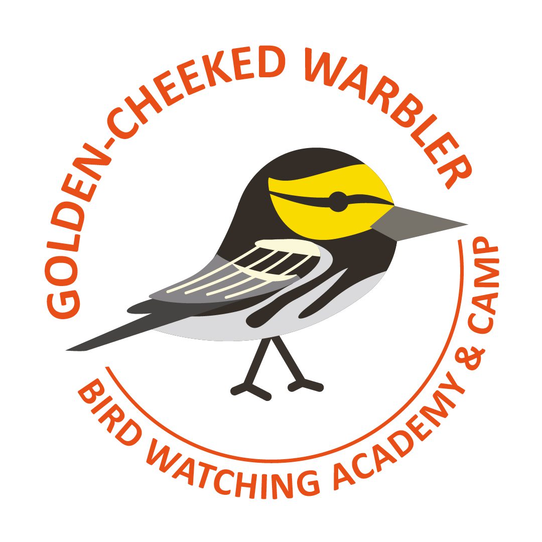 Golden-cheeked Warbler