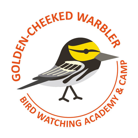 Golden-cheeked Warbler