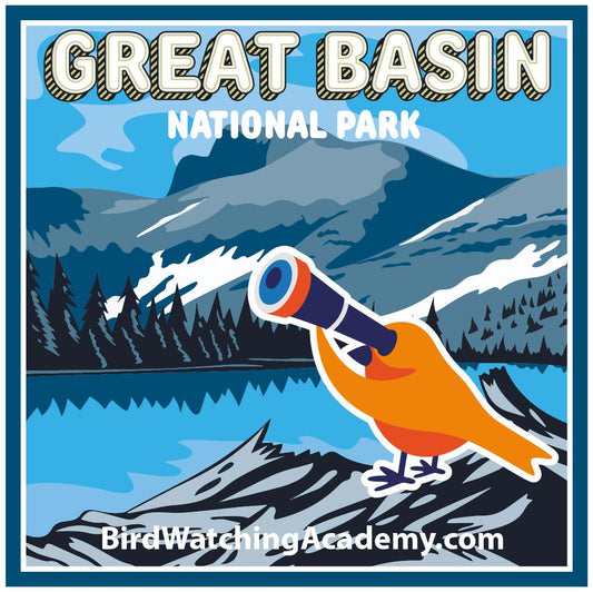 Bird Watching at Great Basin National Park