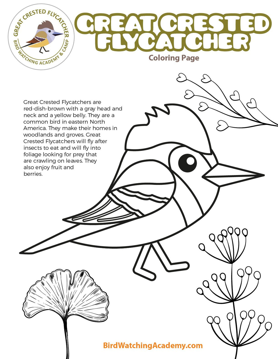 Great Crested Flycatcher Coloring Page