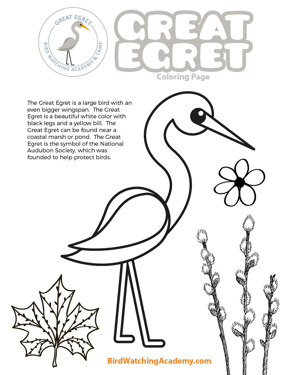 Great Egret Coloring Page