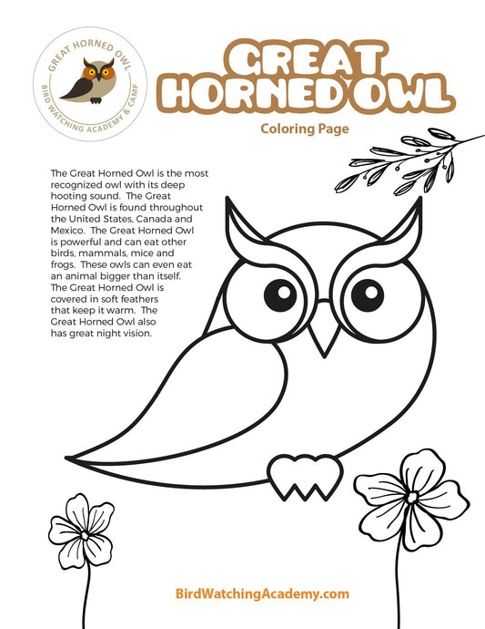 Great Horned Owl Coloring Page