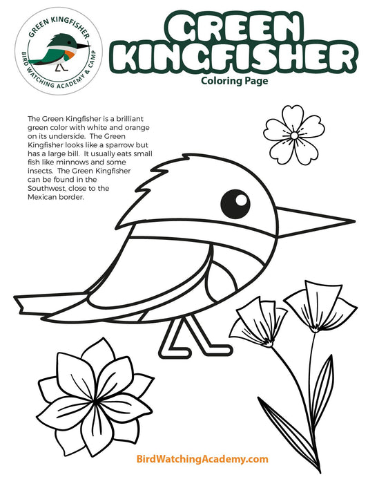 Green Kingfisher Coloring Page