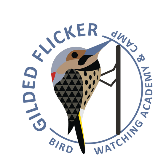 Gilded Flicker