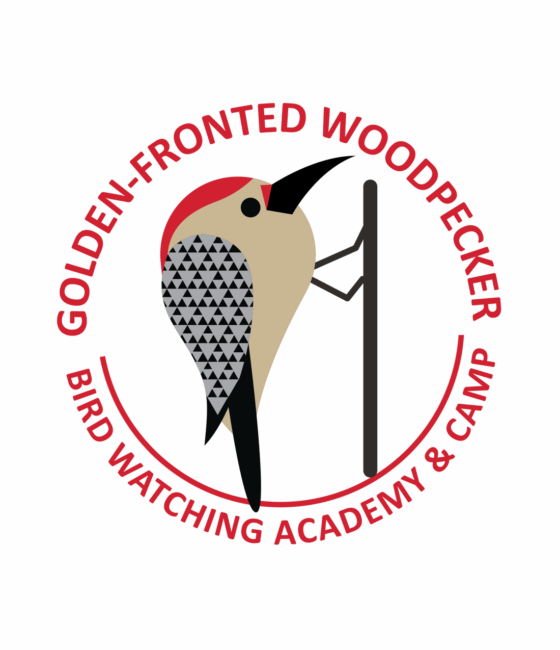 Golden-fronted Woodpecker