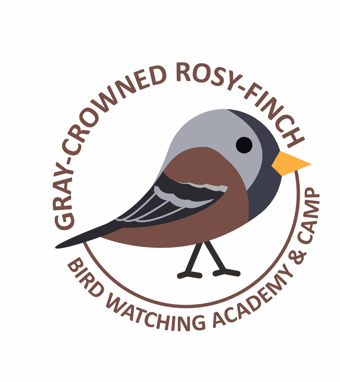 Gray-crowned Rosy-Finch