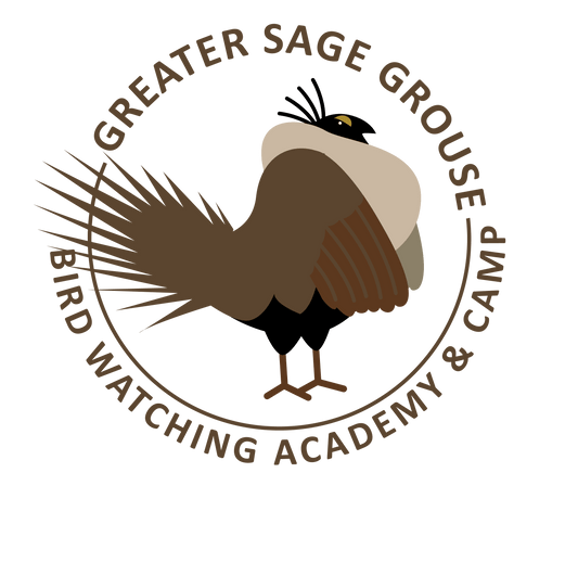 Greater Sage Grouse