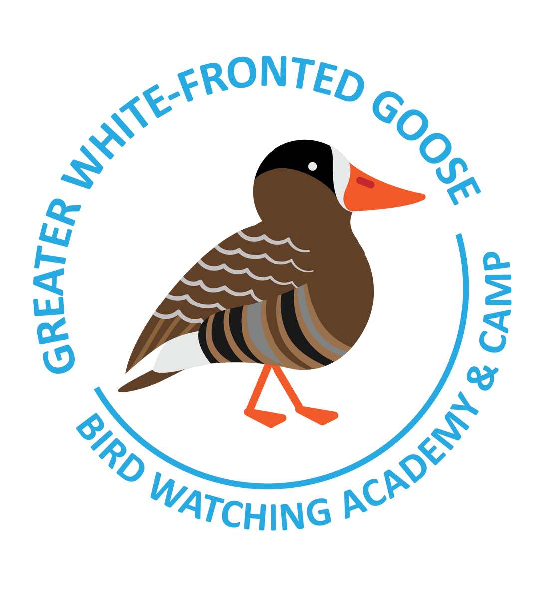 Greater White-fronted Goose