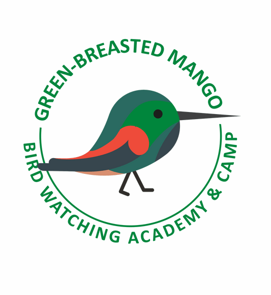 Green-breasted Mango