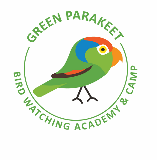 Green Parakeet