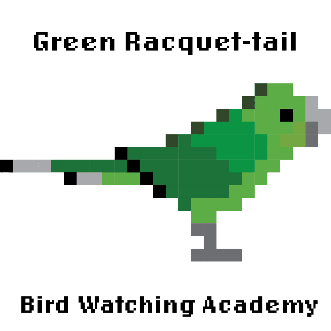 10 Amazing Facts about Green Racquet-tails