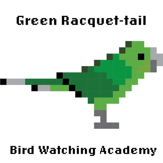 10 Amazing Facts about Green Racquet-tails