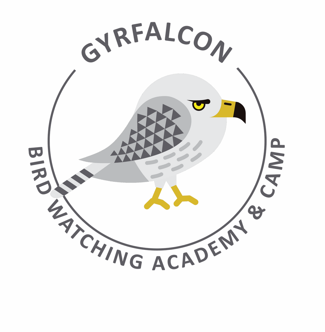 Gyrfalcon