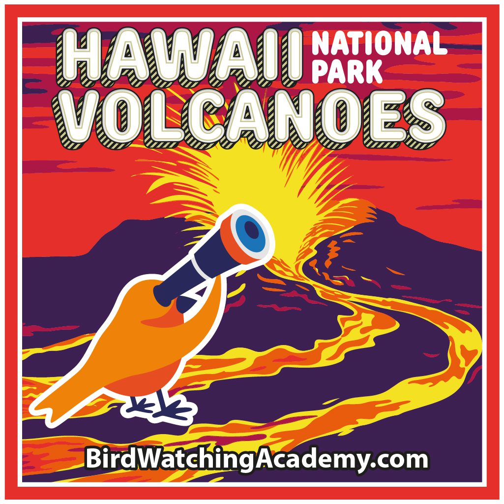 Bird Watching at Hawaiʻi Volcanoes National Park