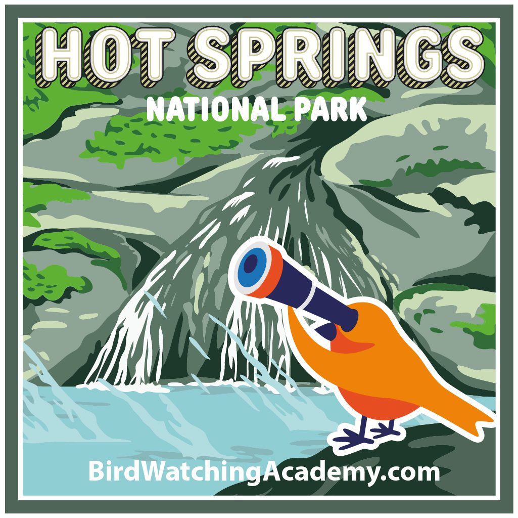 Bird Watching at Hot Springs National Park