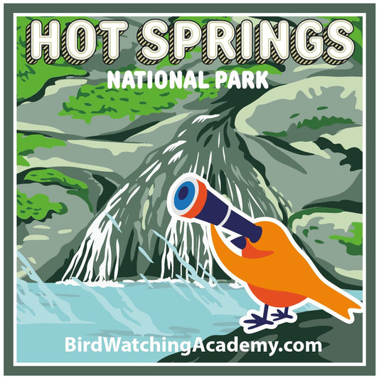 Bird Watching at Hot Springs National Park