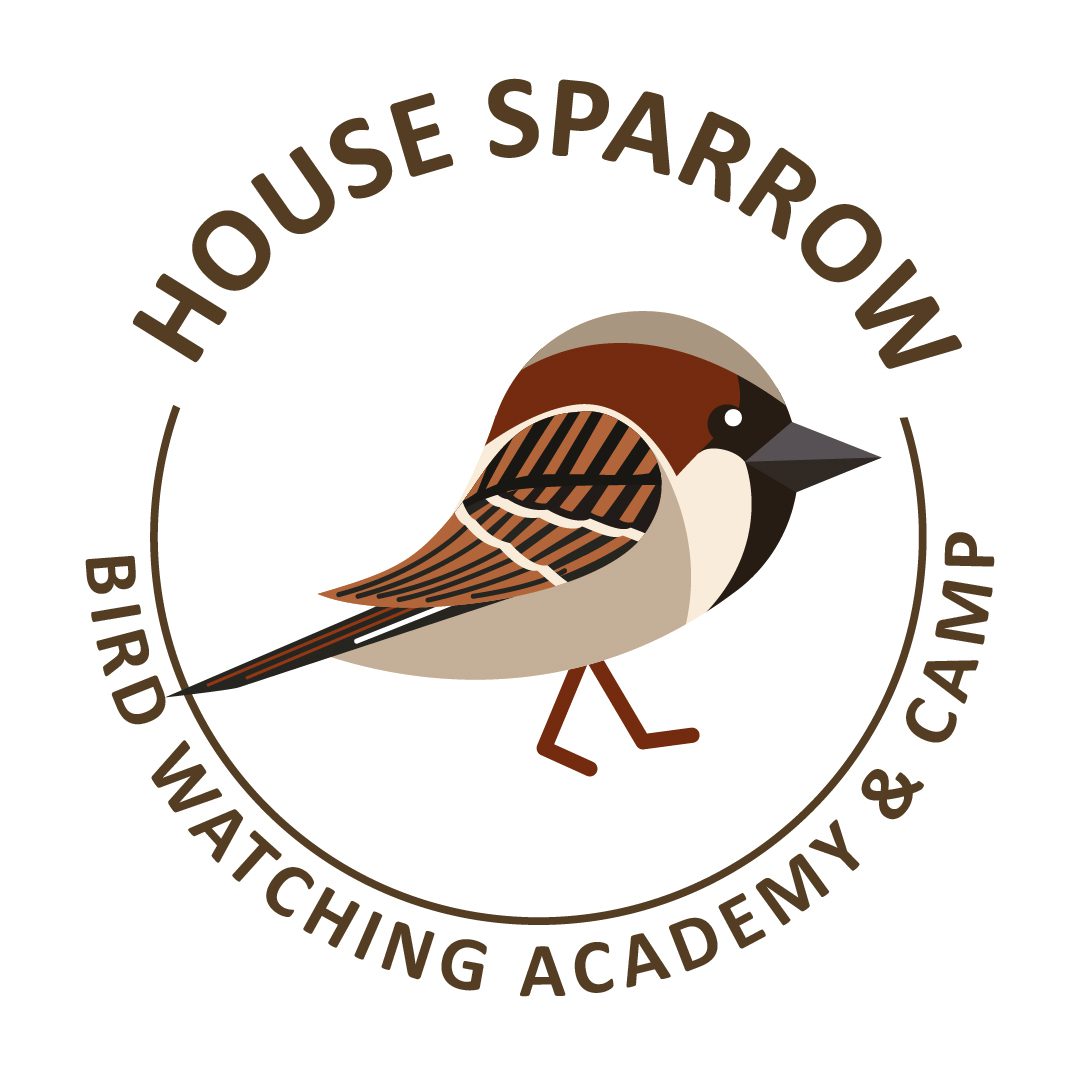 House Sparrow