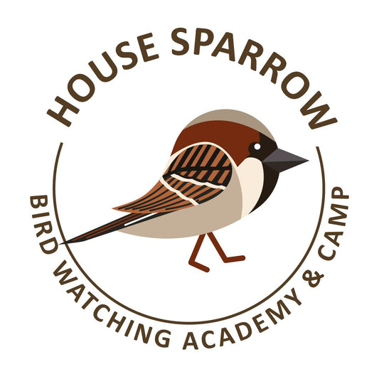 House Sparrow