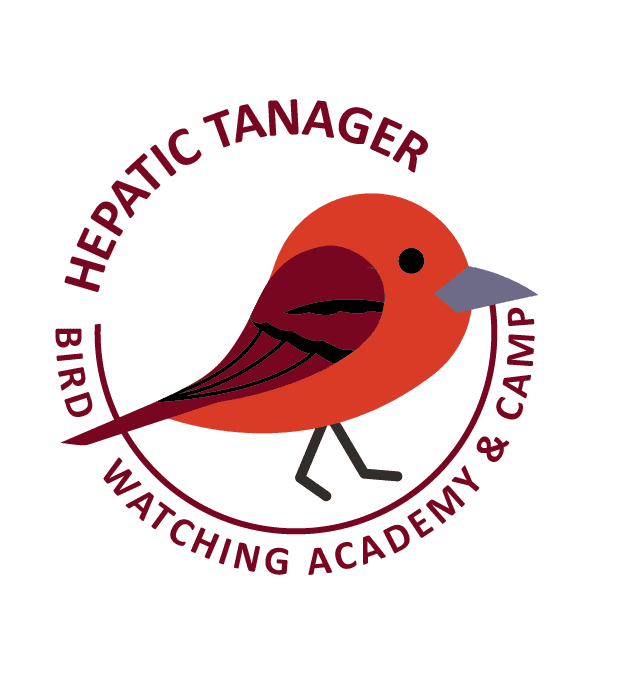 Hepatic Tanager