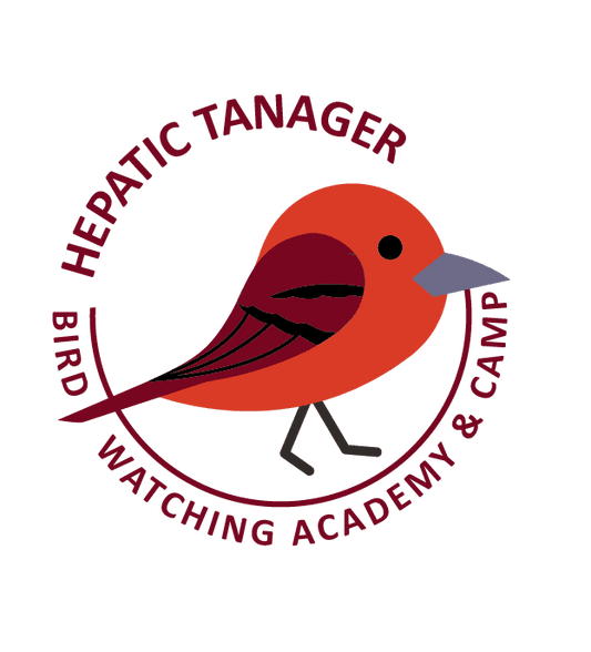 Hepatic Tanager