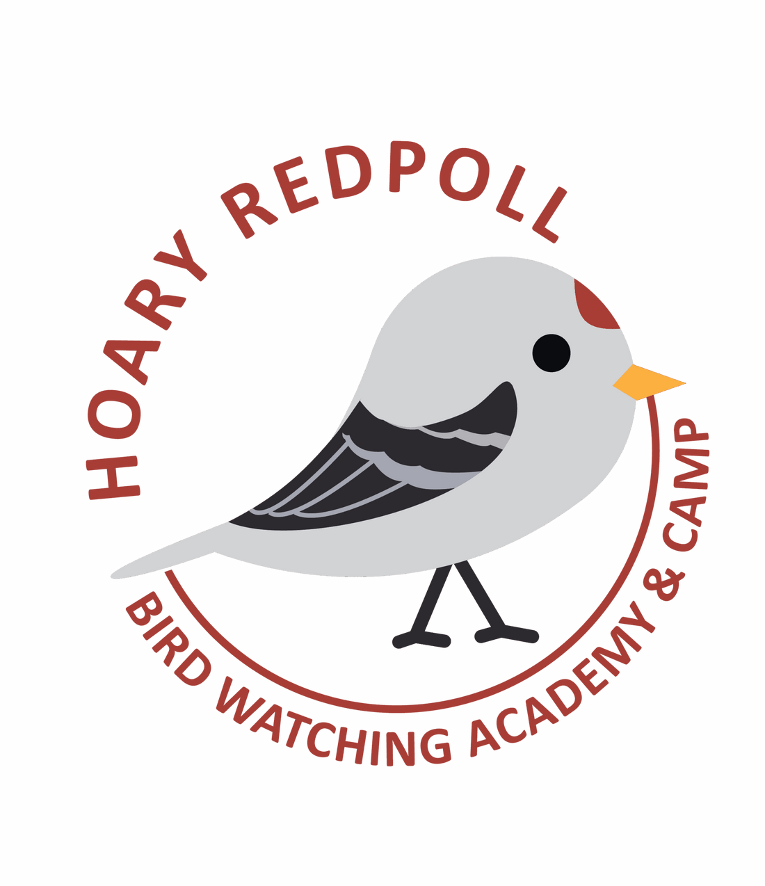 Hoary Redpoll