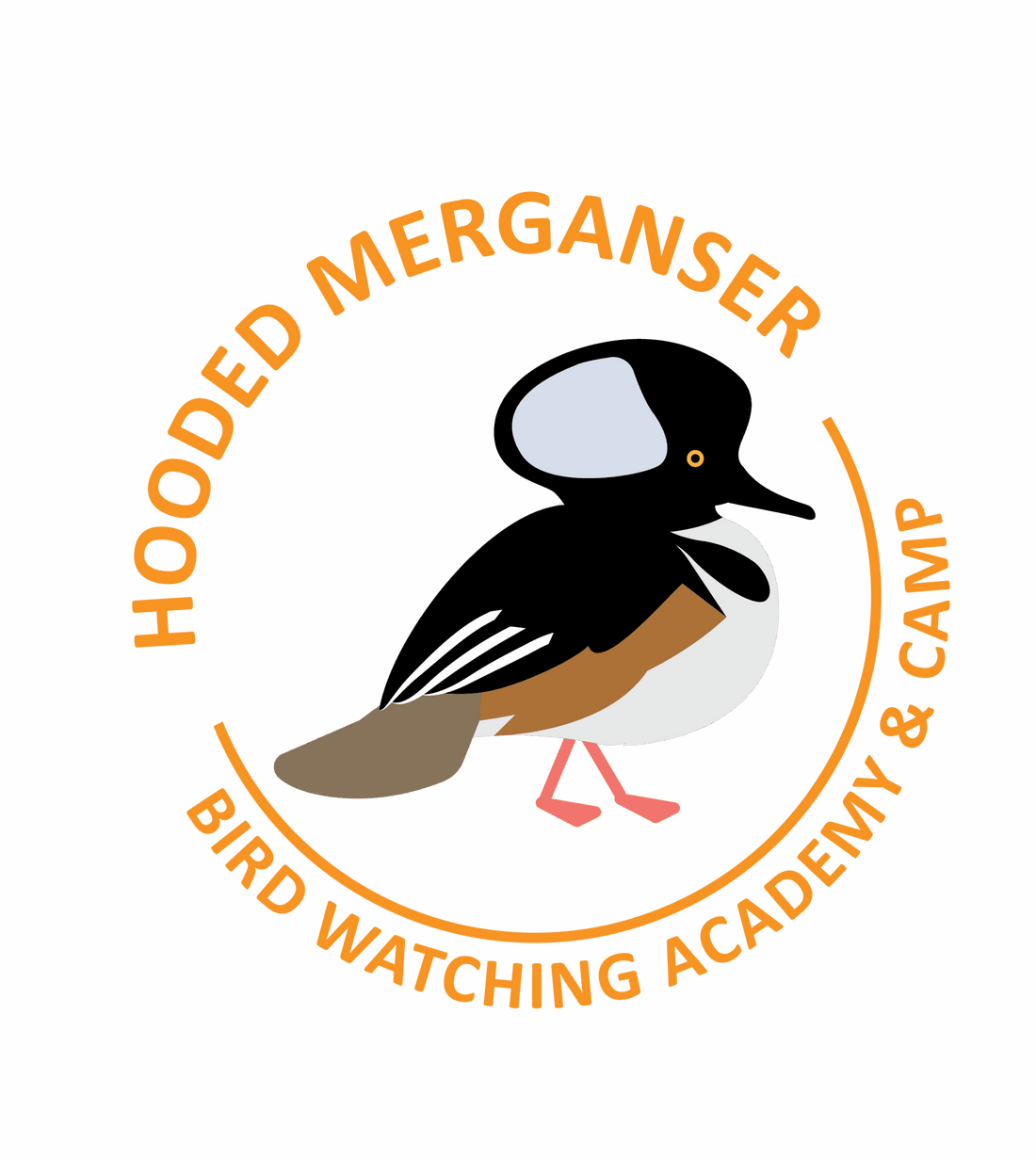 Hooded Merganser