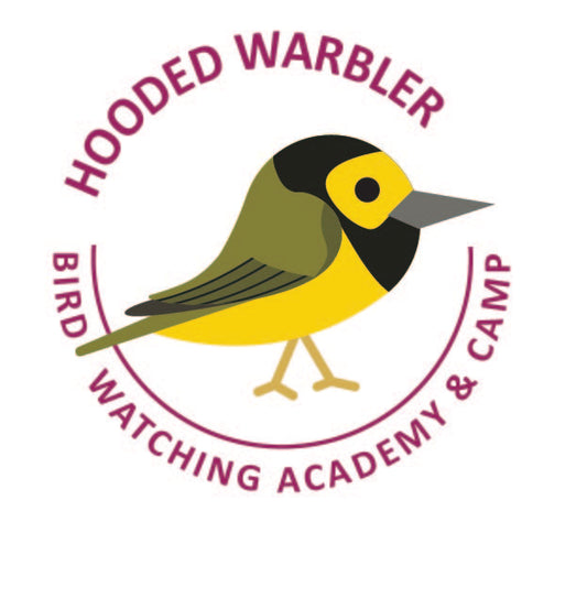 Hooded Warbler