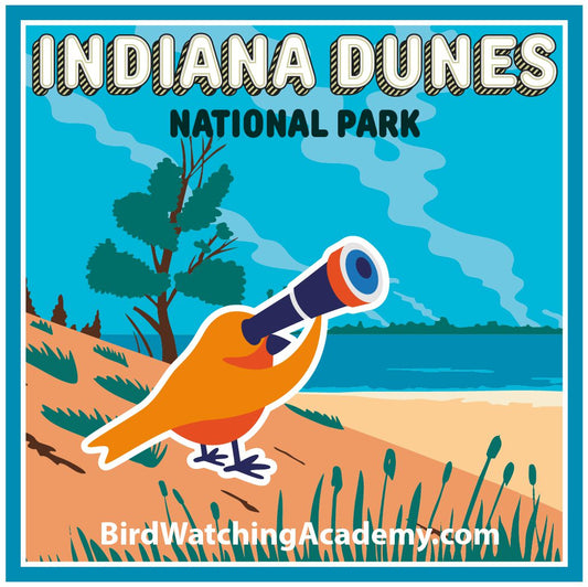 Bird Watching at Indiana Dunes National Park