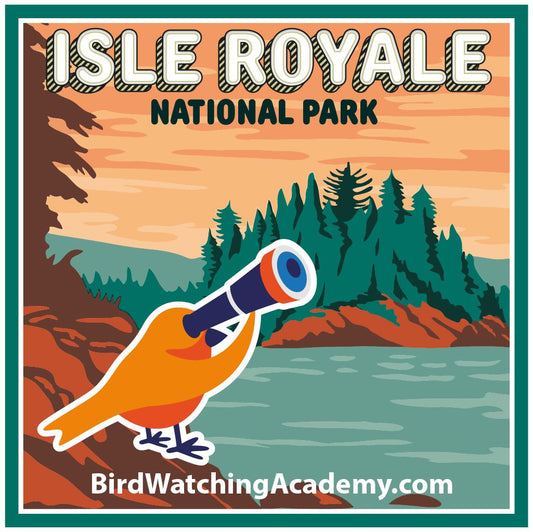 Bird Watching at Isle Royale National Park