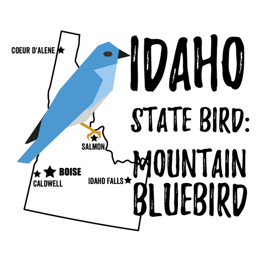 Idaho State Bird