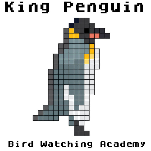 10 Amazing Facts About King Penguins