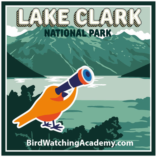 Bird Watching at Lake Clark National Park