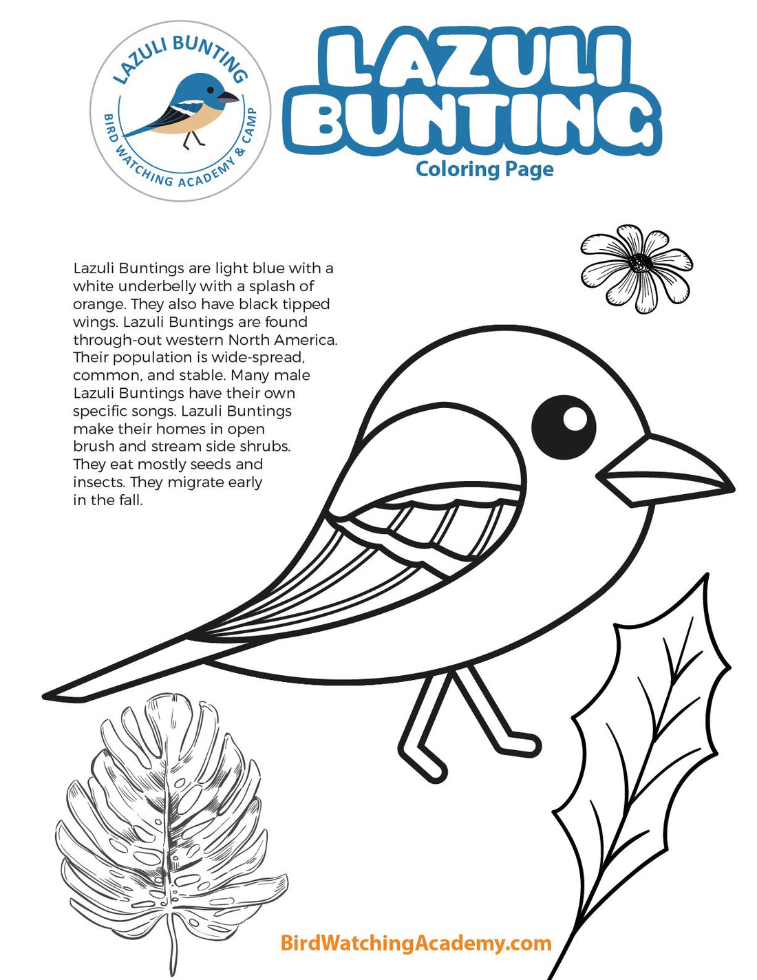 Lazuli Bunting Coloring Page