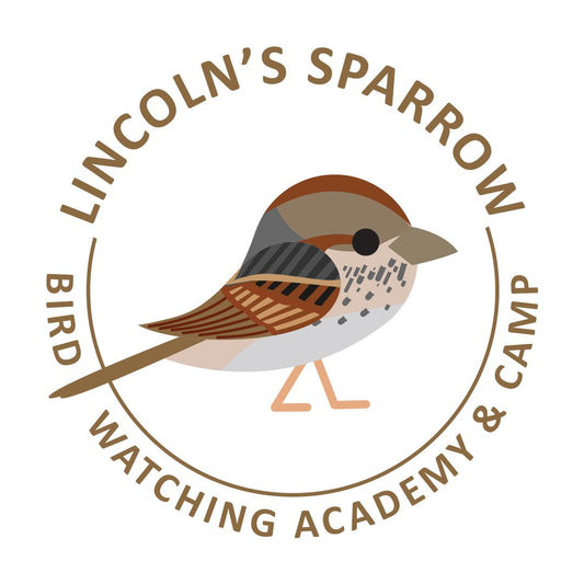 Lincoln’s Sparrow