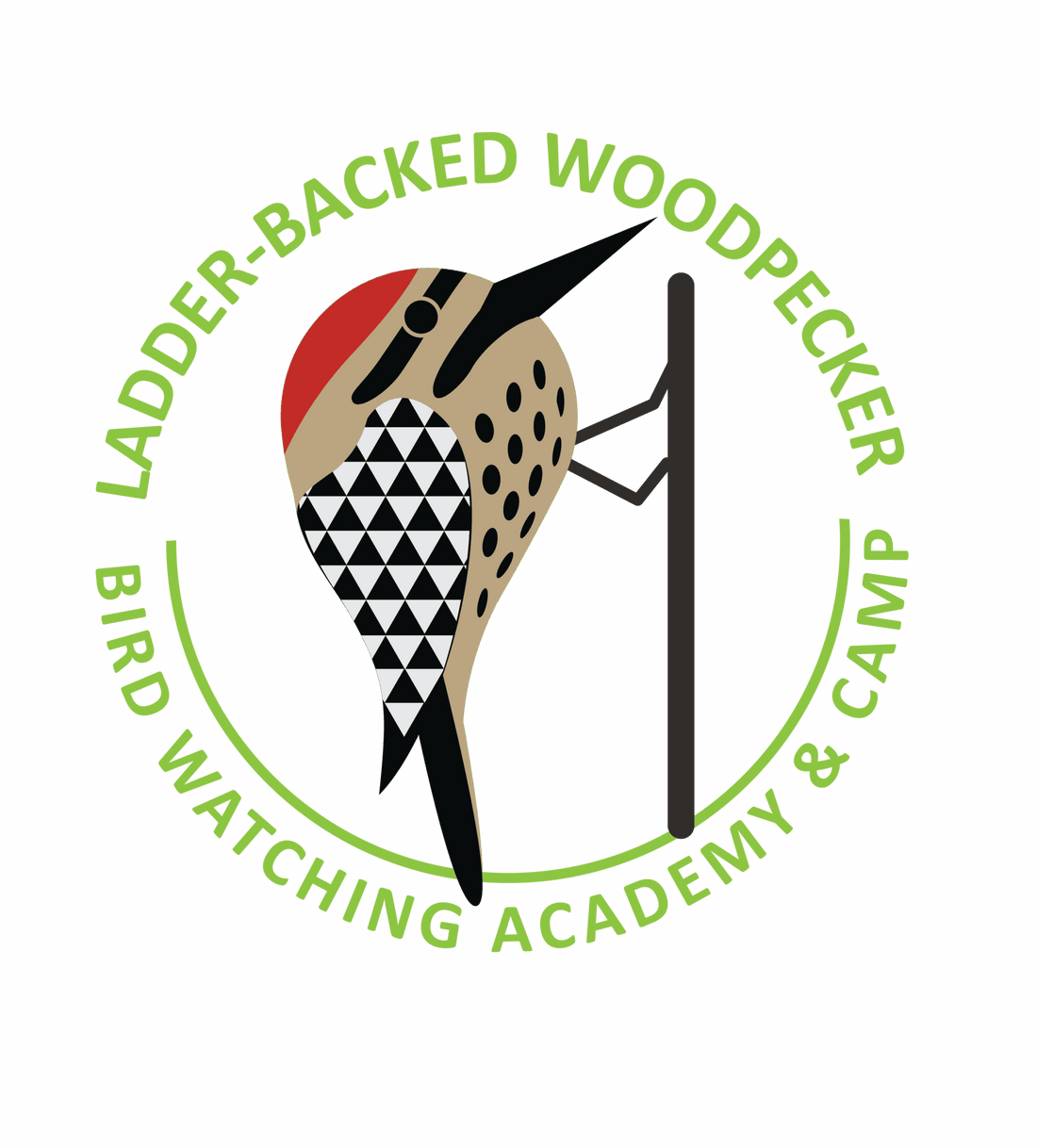 Ladder-backed Woodpecker