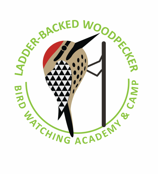 Ladder-backed Woodpecker