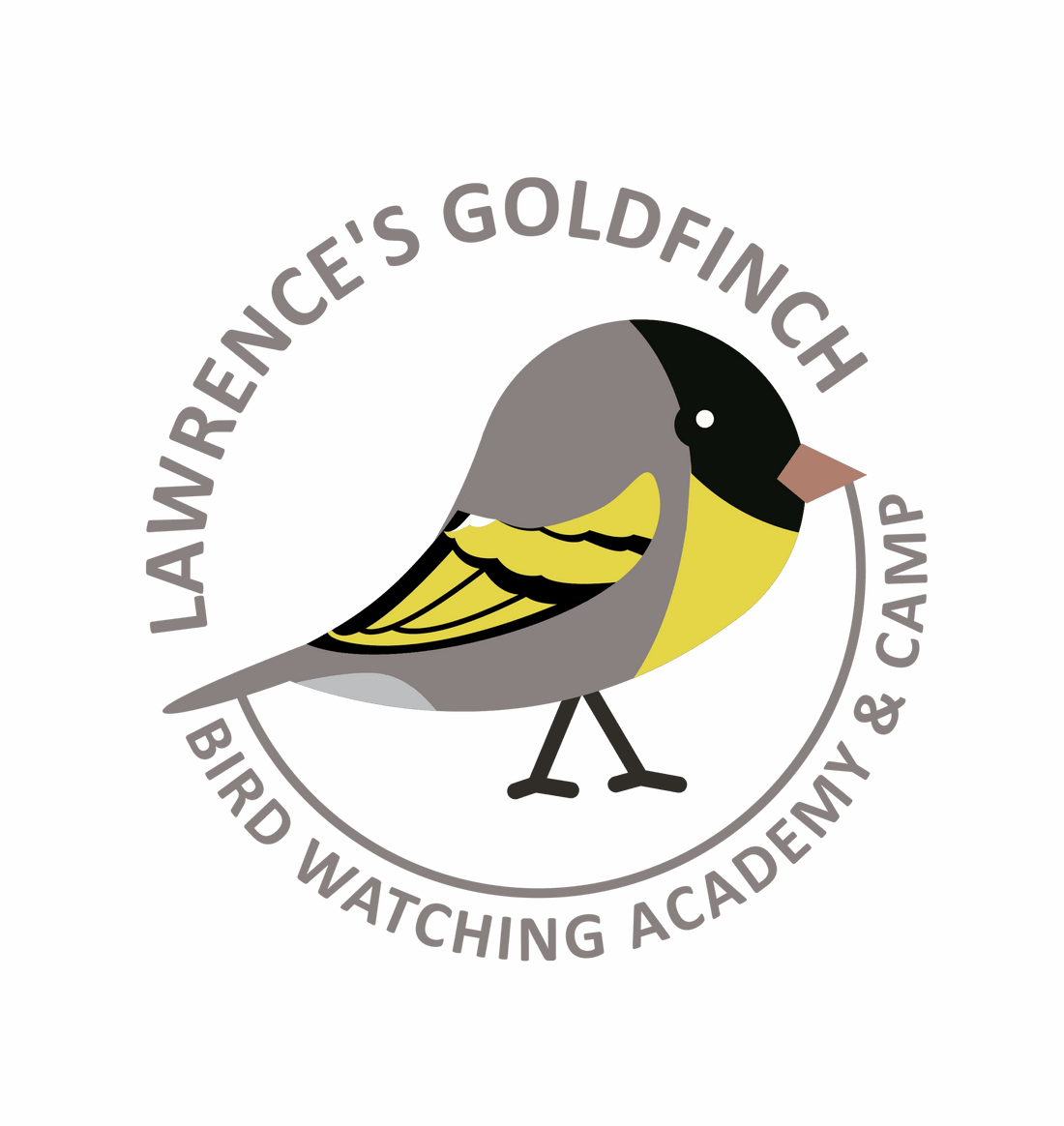 Lawrence’s Goldfinch