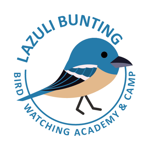 Lazuli Bunting