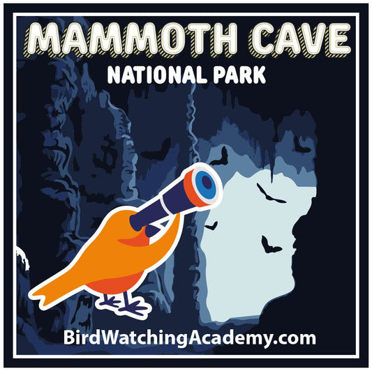 Bird Watching at Mammoth Cave National Park