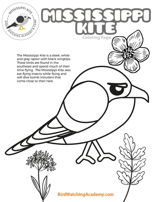 Mississippi Kite Coloring Page