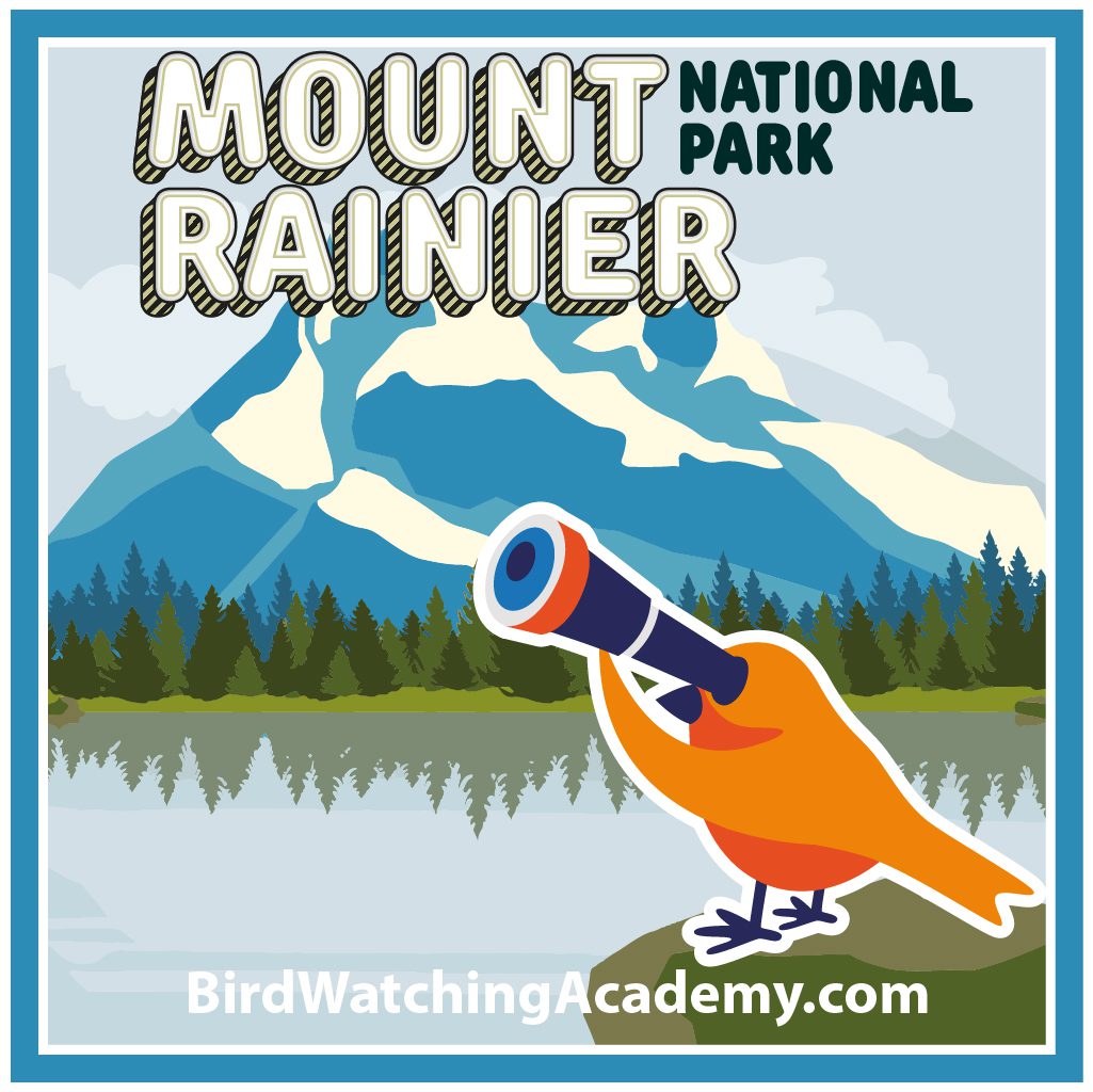 Bird Watching at Mount Rainier National Park